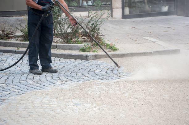 Best Roof Cleaning and Mildew Removal in Philipsburg, PA